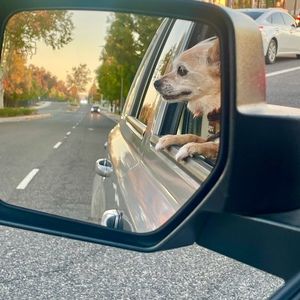 Meet your Posher, Nadien